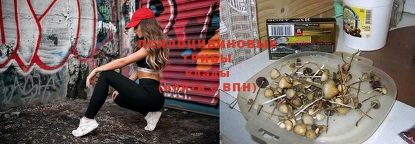 а пвп мука Балахна